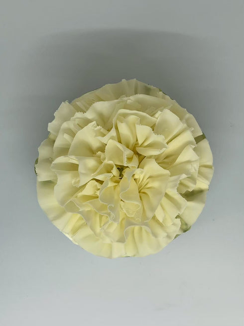 上品な抹茶香る 濃厚ベイクドチーズ4号