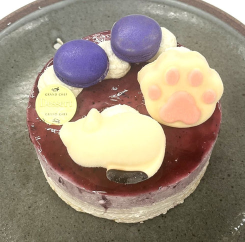 ブルーベリーレアチーズ